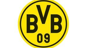 Borussia Dortmund bid farewell to five players!
