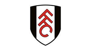 Fulham FC sign midfielder Sasa Lukic from Torino FC!