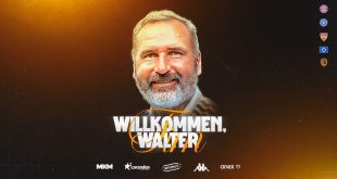 Hull City appoint Tim Walter as new head coach!
